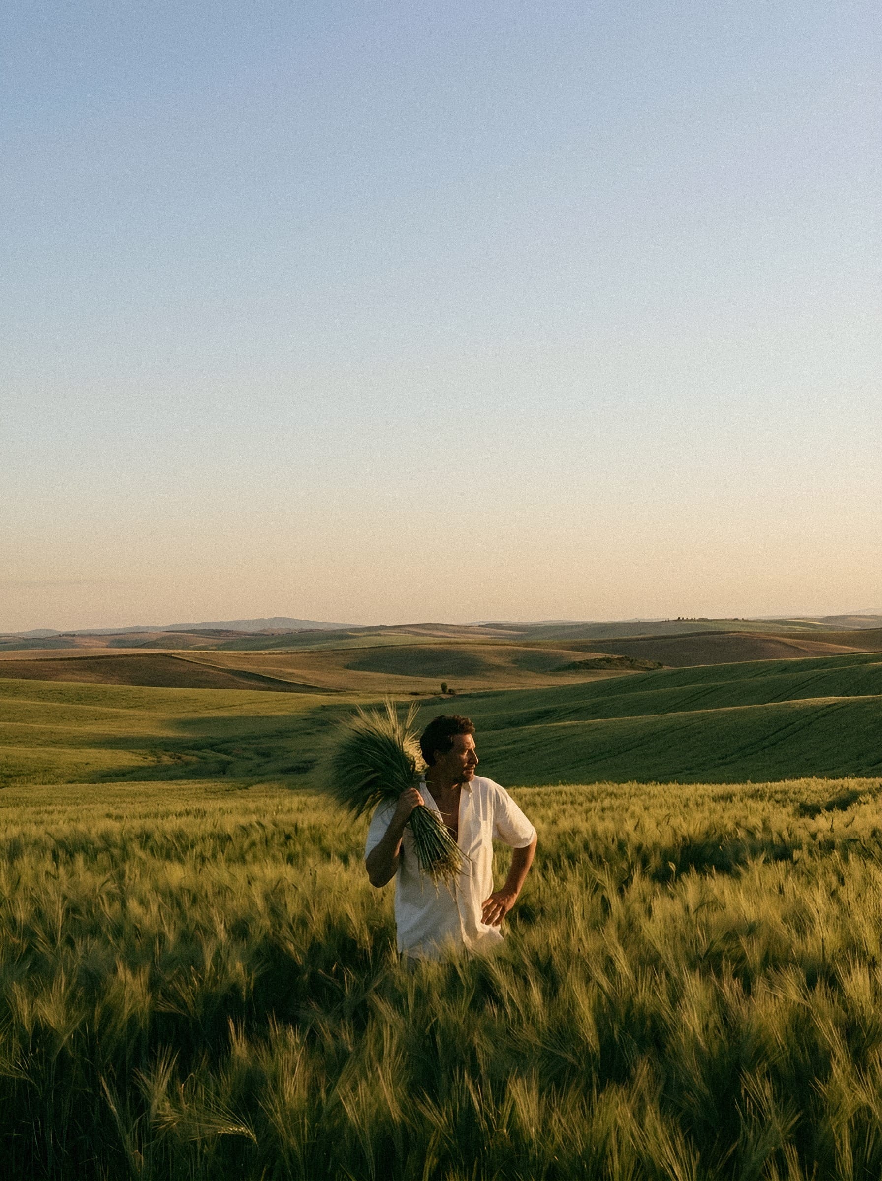 Woman in wheat field at dusk.