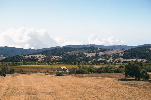 Harvest Season in Napa Valley